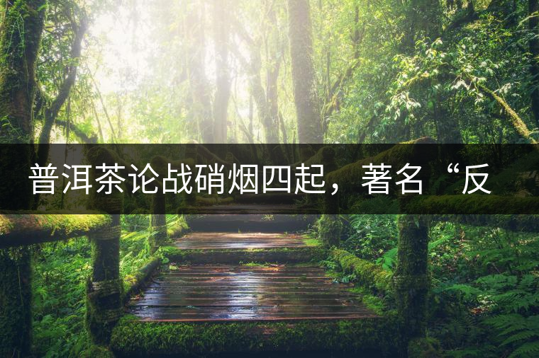 普洱茶論戰(zhàn)硝煙四起，著名“反偽斗士”司馬南有話說