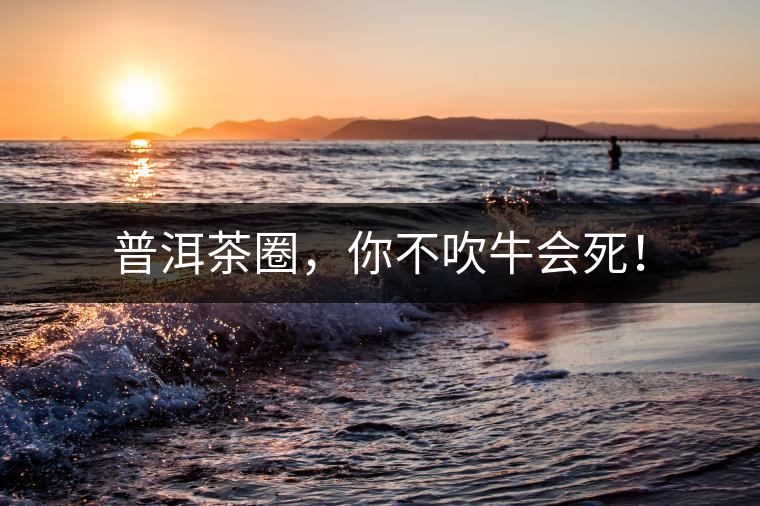 普洱茶圈，你不吹牛會(huì)死！