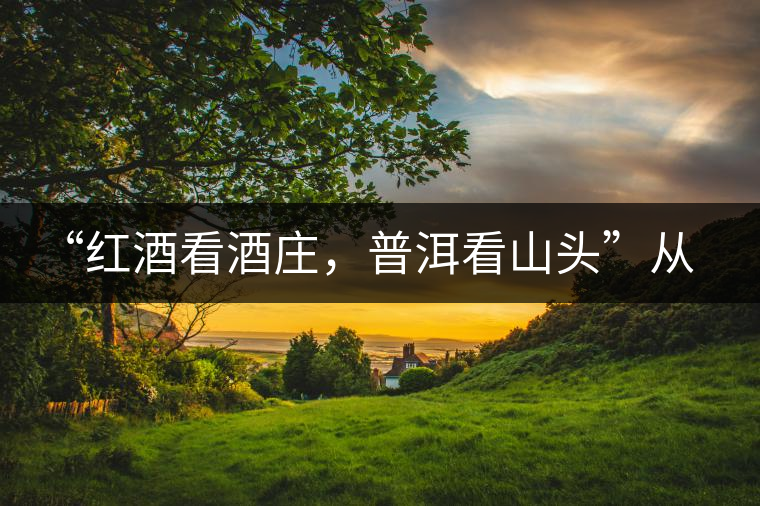 “紅酒看酒莊，普洱看山頭”從這里秒懂普洱茶的未來