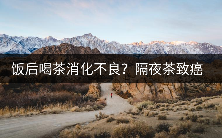 飯后喝茶消化不良？隔夜茶致癌？9個喝茶流言你該好好分個真假