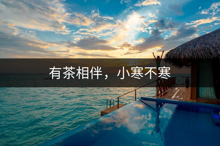 有茶相伴，小寒不寒