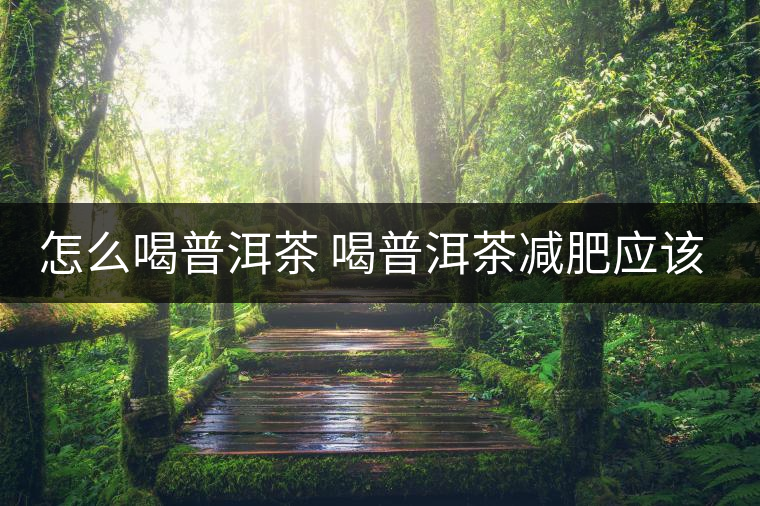 怎么喝普洱茶 喝普洱茶減肥應(yīng)該用科學(xué)的飲用方法 怎么喝普洱茶 喝普洱茶減肥應(yīng)該用科學(xué)的飲用方法