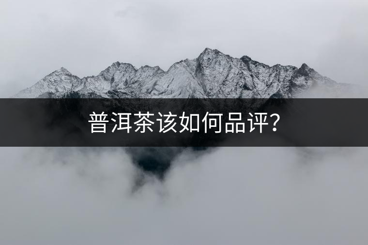 普洱茶該如何品評？