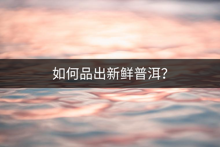 如何品出新鮮普洱？