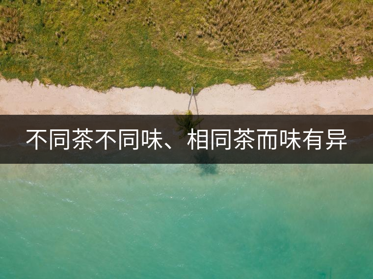 不同茶不同味、相同茶而味有異