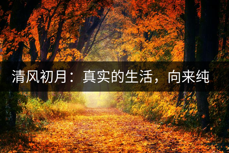 清風(fēng)初月：真實(shí)的生活，向來(lái)純簡(jiǎn)