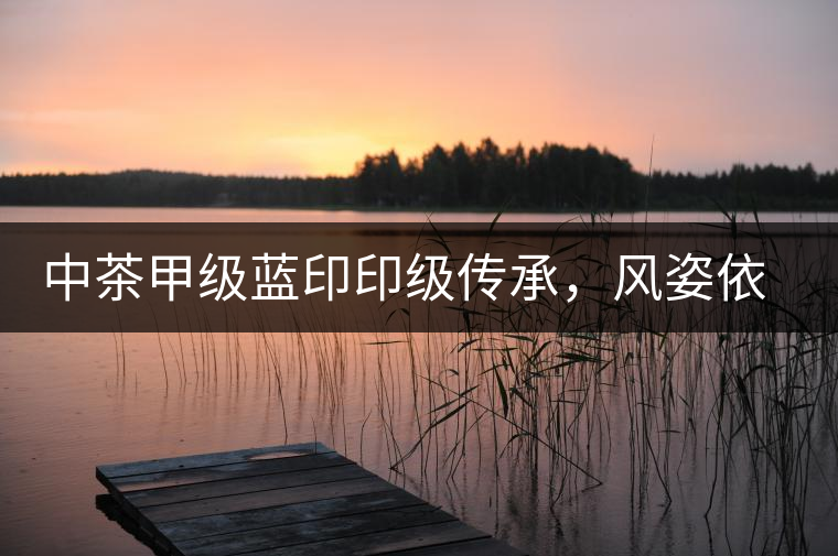 中茶甲級藍印印級傳承，風姿依舊