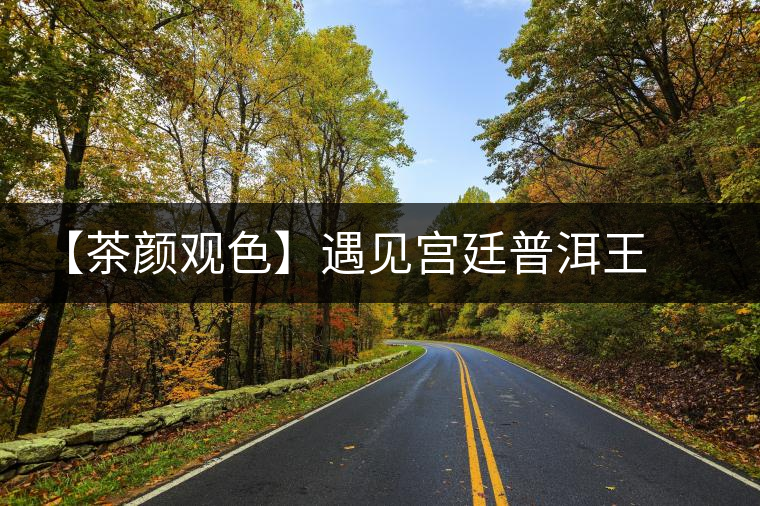 【茶顏觀色】遇見宮廷普洱王之美