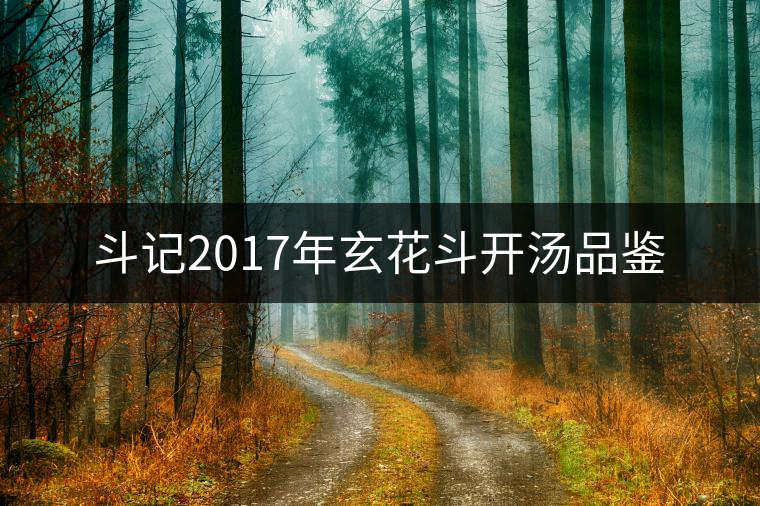 斗記2017年玄花斗開湯品鑒 斗記2017年玄花斗開湯品鑒