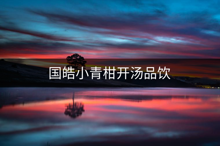 國(guó)皓小青柑開湯品飲