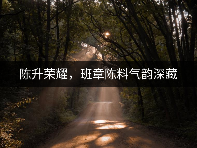 陳升榮耀，班章陳料氣韻深藏