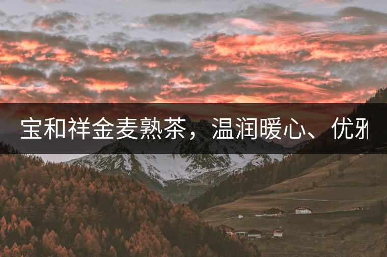 寶和祥金麥熟茶，溫潤暖心、優(yōu)雅迷人。