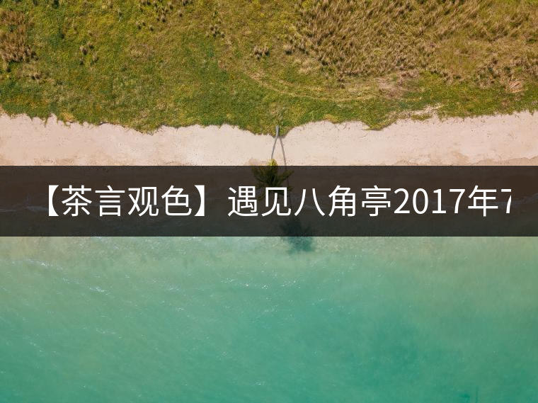 【茶言觀色】遇見(jiàn)八角亭2017年7540 【茶言觀色】遇見(jiàn)八角亭2017年7540