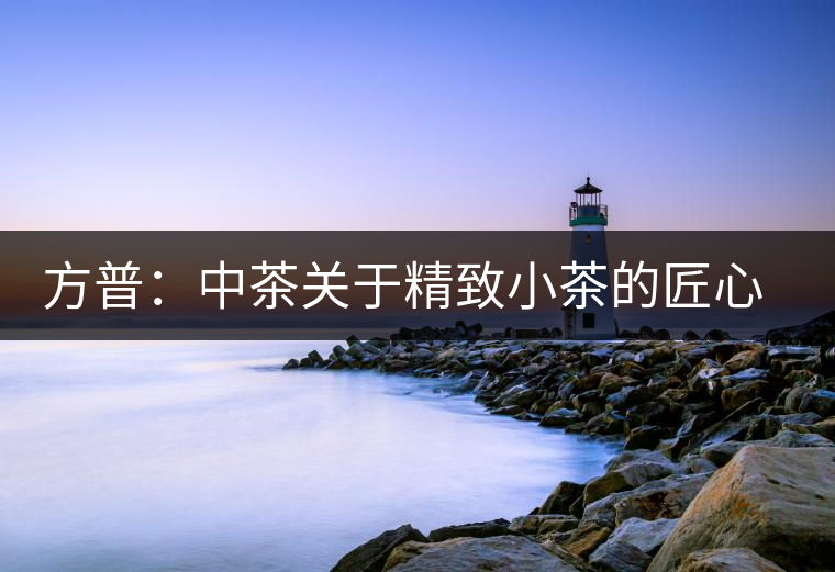 方普:中茶關(guān)于精致小茶的匠心之作 方普:中茶關(guān)于精致小茶的匠心之作