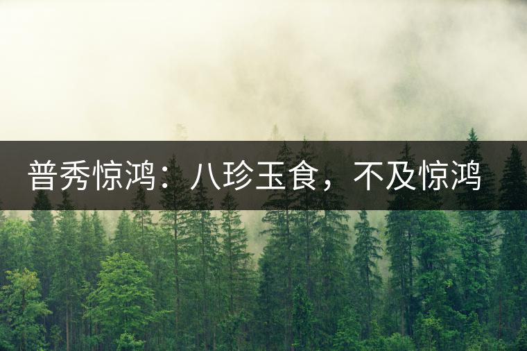 普秀驚鴻：八珍玉食，不及驚鴻一湯