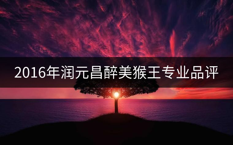 2016年潤元昌醉美猴王專業(yè)品評(píng) 2016年潤元昌醉美猴王專業(yè)品評(píng)