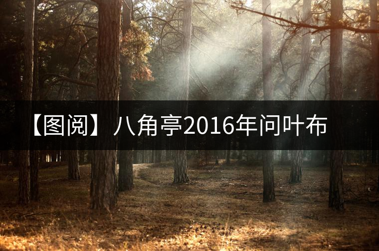 【圖閱】八角亭2016年問(wèn)葉布朗開湯圖集錦