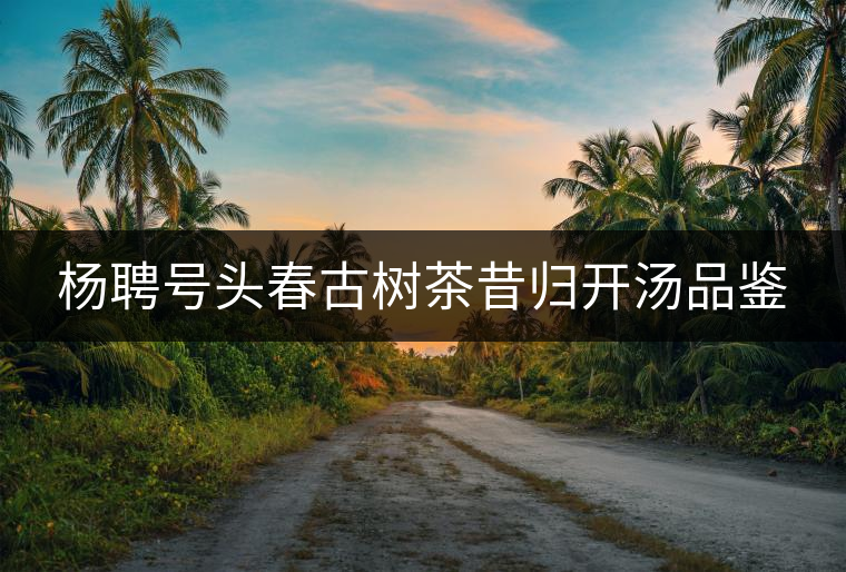 楊聘號(hào)頭春古樹(shù)茶昔歸開(kāi)湯品鑒 楊聘號(hào)頭春古樹(shù)茶昔歸開(kāi)湯品鑒