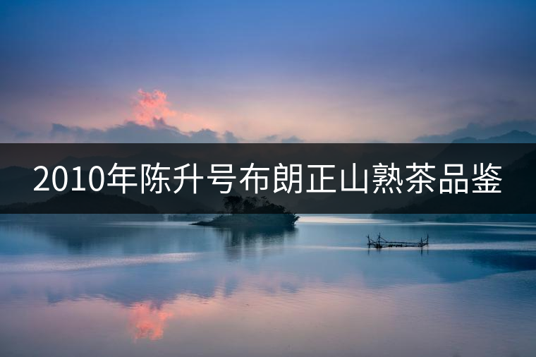 2010年陳升號(hào)布朗正山熟茶品鑒 2010年陳升號(hào)布朗正山熟茶品鑒