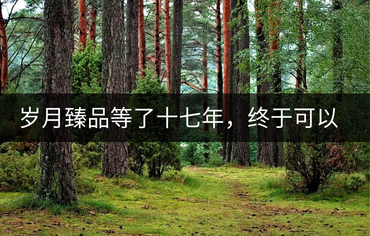 歲月臻品等了十七年，終于可以品味歲月