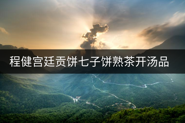 程健宮廷貢餅七子餅熟茶開(kāi)湯品鑒 程健宮廷貢餅七子餅熟茶開(kāi)湯品鑒