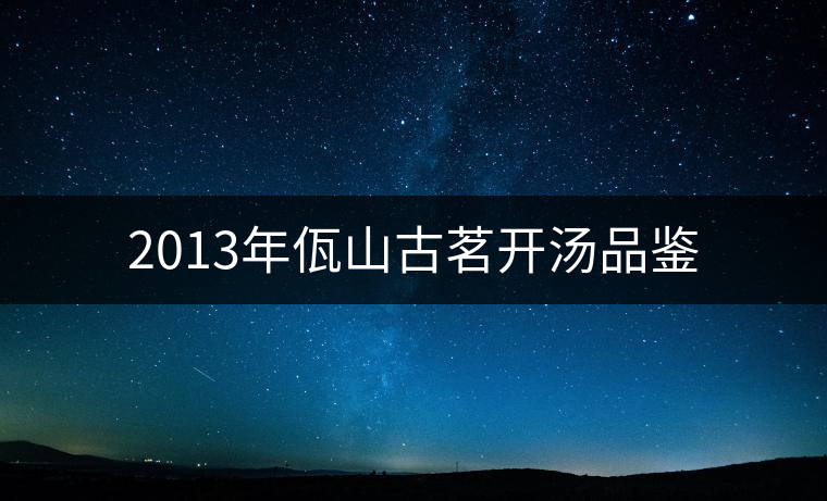 2013年佤山古茗開湯品鑒