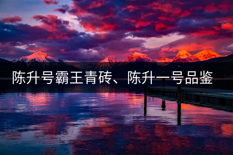 陳升號霸王青磚、陳升一號品鑒【圖】