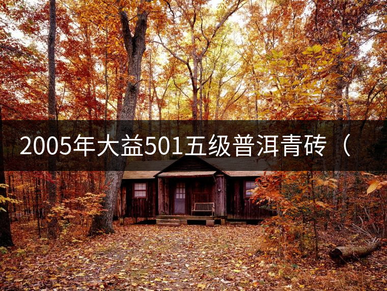 2005年大益501五級(jí)普洱青磚(250克)開(kāi)湯品鑒 2005年大益501五級(jí)普洱青磚(250克)開(kāi)湯品鑒