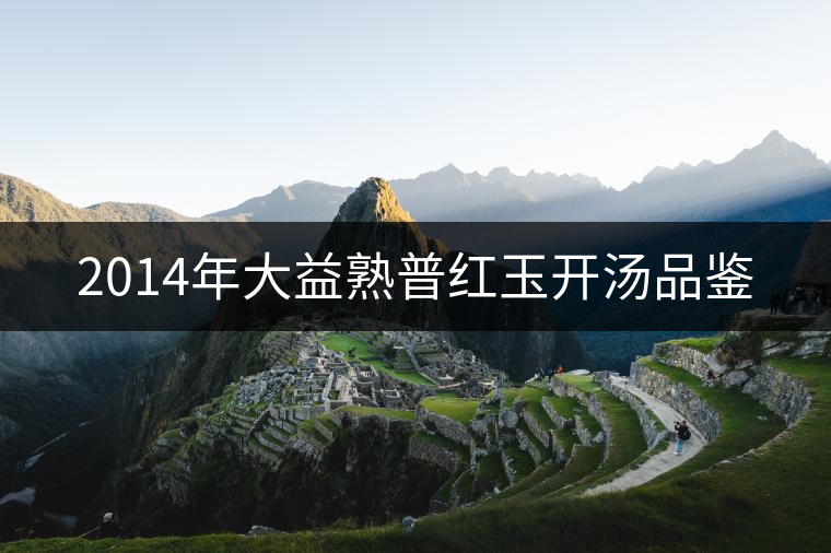 2014年大益熟普紅玉開湯品鑒 2014年大益熟普紅玉開湯品鑒