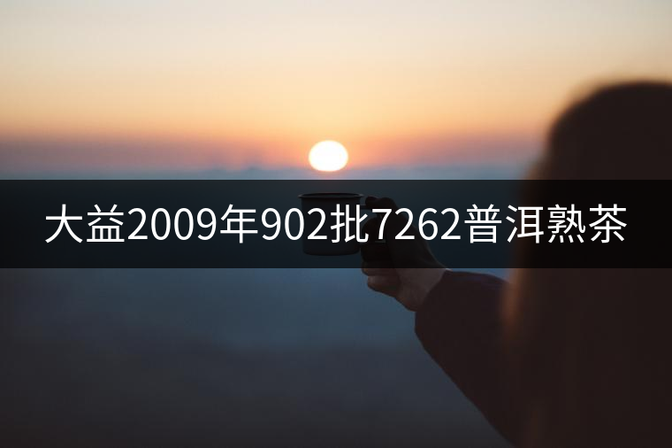 大益2009年902批7262普洱熟茶 大益2009年902批7262普洱熟茶