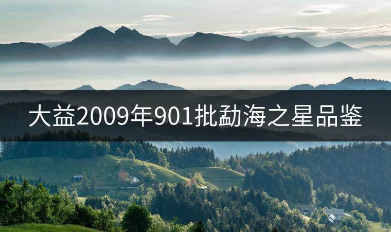 大益2009年901批勐海之星品鑒
