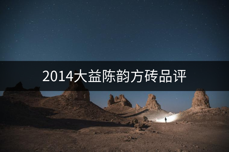 2014大益陳韻方磚品評 2014大益陳韻方磚品評