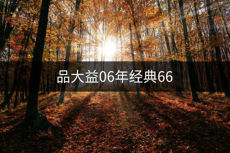 品大益06年經(jīng)典66 品大益06年經(jīng)典66
