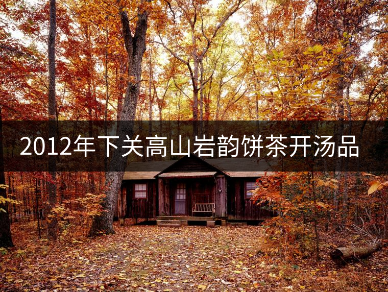 2012年下關高山巖韻餅茶開湯品鑒 2012年下關高山巖韻餅茶開湯品鑒