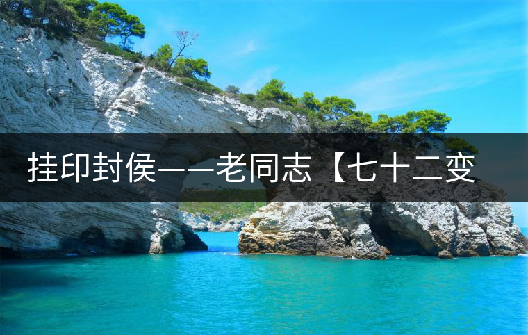 掛印封侯——老同志【七十二變】生肖猴餅開(kāi)湯品鑒 掛印封侯——老同志【七十二變】生肖猴餅開(kāi)湯品鑒