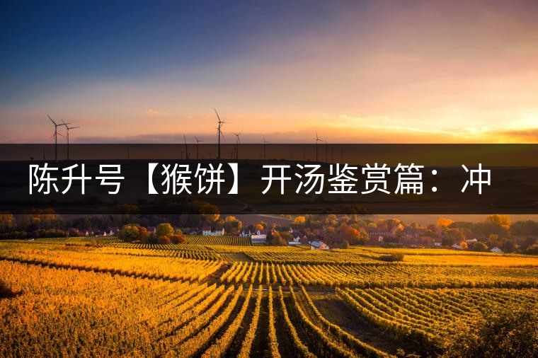 陳升號【猴餅】開湯鑒賞篇:沖泡【猴餅】有哪些需要注意的 陳升號【猴餅】開湯鑒賞篇:沖泡【猴餅】有哪些需要注意的