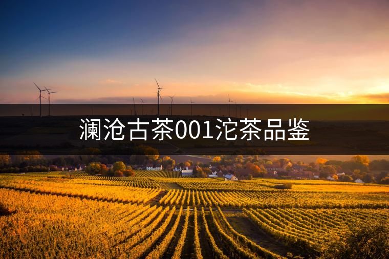 瀾滄古茶001沱茶品鑒 瀾滄古茶001沱茶品鑒