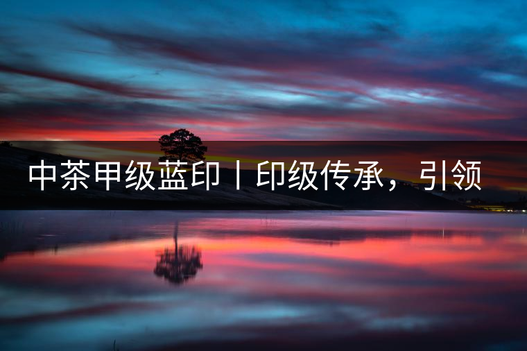 中茶甲級(jí)藍(lán)印丨印級(jí)傳承，引領(lǐng)風(fēng)韻