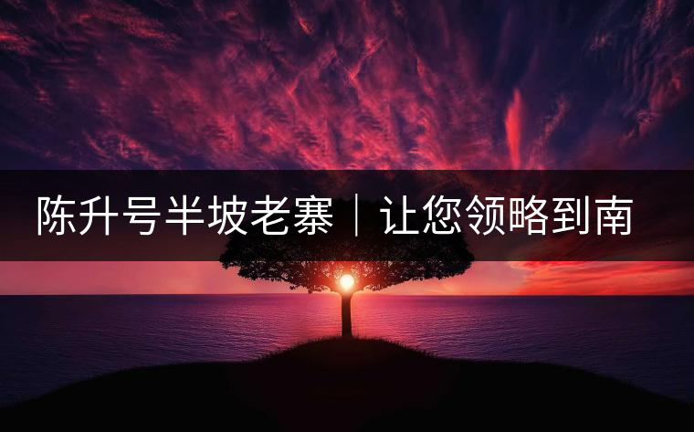 陳升號(hào)半坡老寨｜讓您領(lǐng)略到南糯山大樹(shù)茶口感的地道！