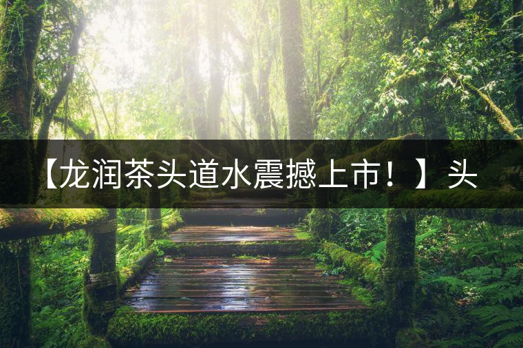 【龍潤茶頭道水震撼上市！】頭道水，二道茶，三道四道是精華！