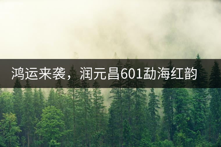 鴻運來襲，潤元昌601勐海紅韻熟茶即將上市