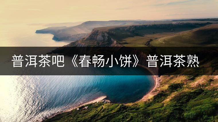 普洱茶吧《春暢小餅》普洱茶熟茶 普洱茶吧《春暢小餅》普洱茶熟茶