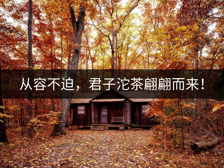 從容不迫，君子沱茶翩翩而來(lái)！