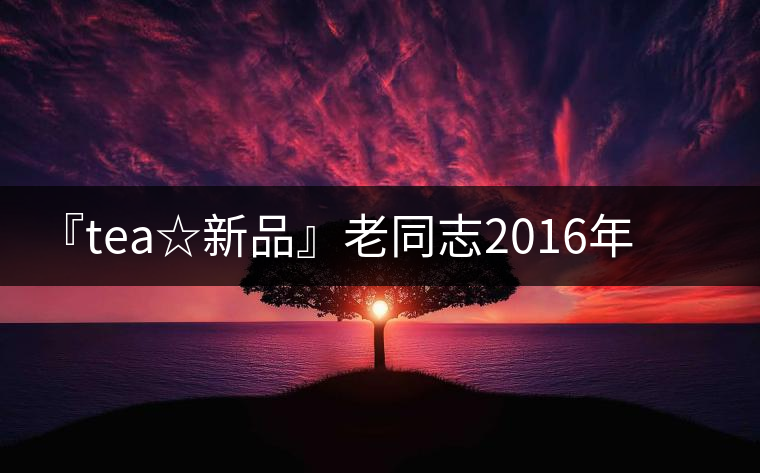 『tea☆新品』老同志2016年琥珀醇熟茶