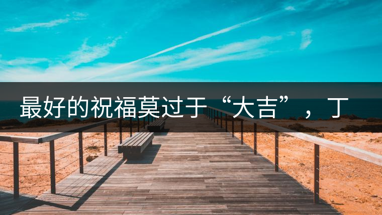 最好的祝福莫過于“大吉”，丁酉年生肖餅震撼來襲！