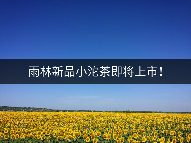 雨林新品小沱茶即將上市！