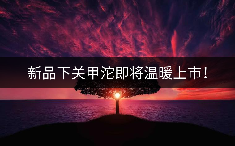 新品下關(guān)甲沱即將溫暖上市！