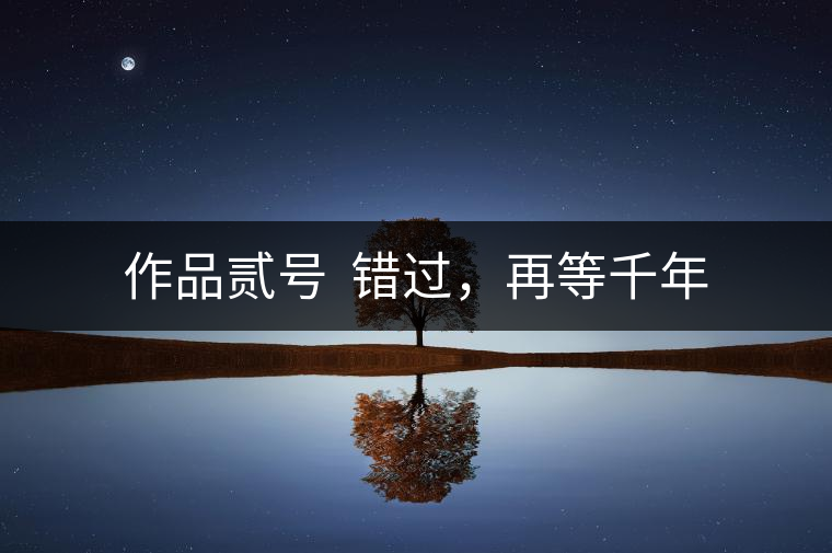 作品貳號(hào)  錯(cuò)過，再等千年
