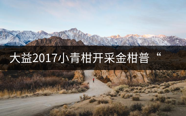 大益2017小青柑開(kāi)采金柑普“益桶江山”震撼上市