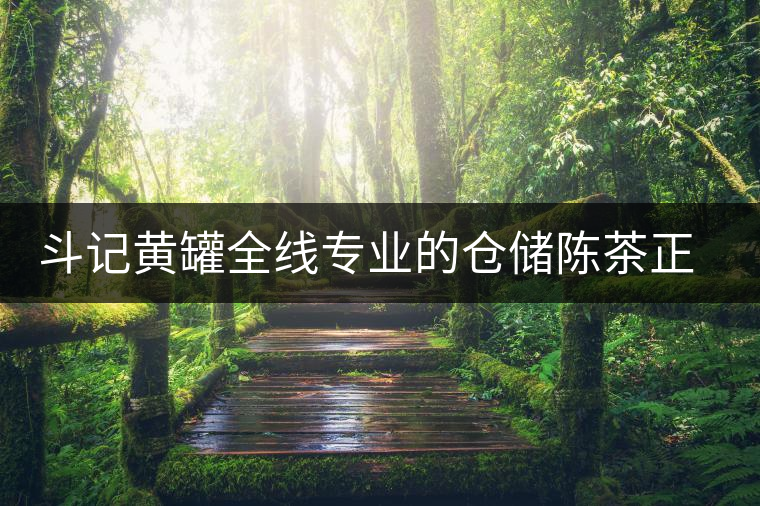 斗記黃罐全線專業(yè)的倉(cāng)儲(chǔ)陳茶正式上市